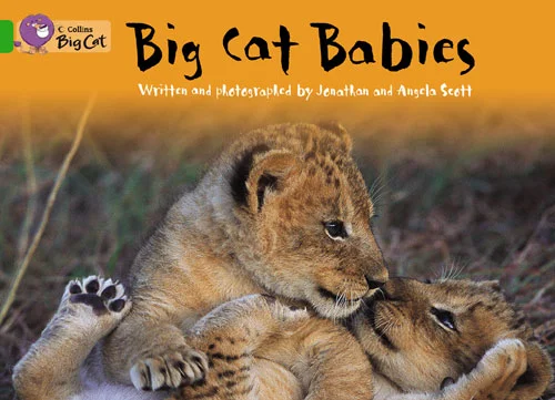Big Cat Babies (L5), anglická kniha