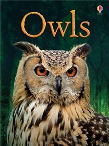 Owls, anglická kniha