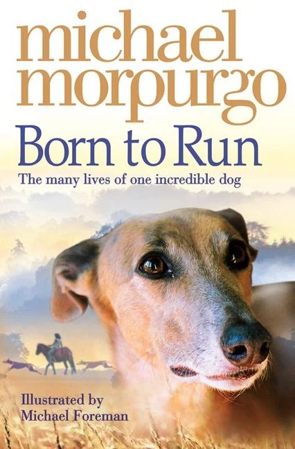 Born to Run, anglická kniha