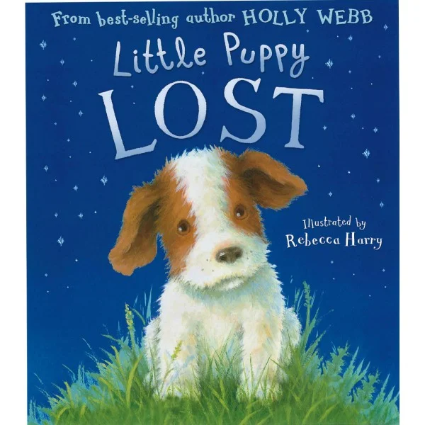 Little Puppy Lost, anglická kniha