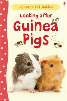 Looking After Guinea Pigs, anglická kniha
