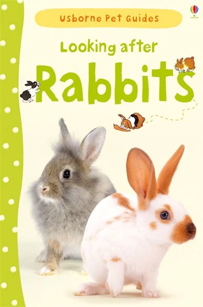 Looking After Rabbits, anglická kniha