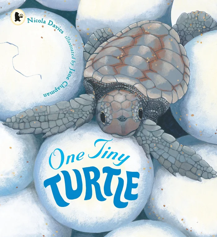 One Tiny Turtle, anglická kniha