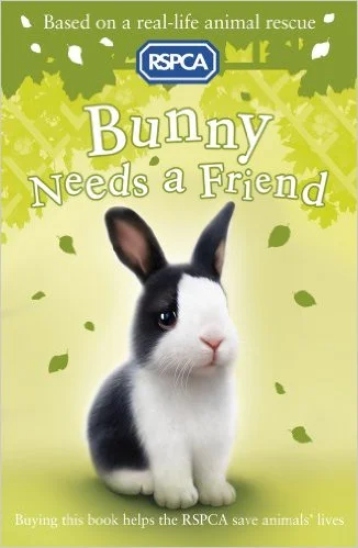 Bunny Needs a Friend (6), anglická kniha