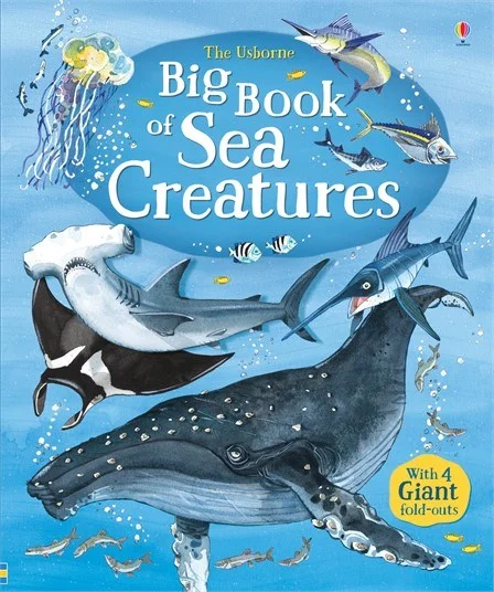 Big book of sea creatures, anglická kniha
