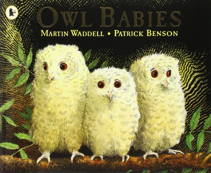 Owl Babies, anglická kniha