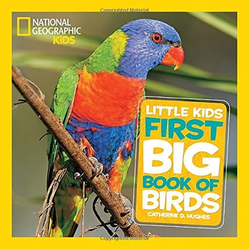 Little Kids First Big Book Of Birds, anglická kniha