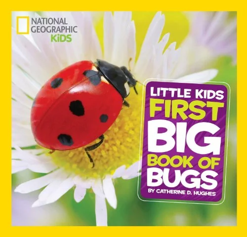 Little Kids First Big Book of Bugs, anglická kniha