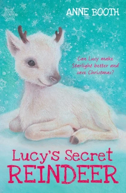 Lucy's Secret Reindeer, anglická kniha