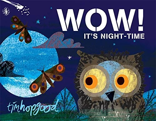 WOW! It's Night-time, anglická kniha - leporelo