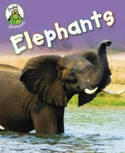 Elephants, anglická kniha