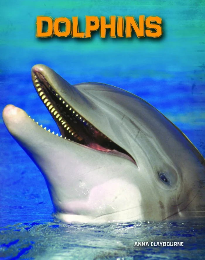 Dolphins, anglická kniha