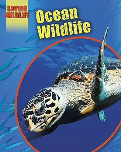 Ocean Wildlife, anglická kniha