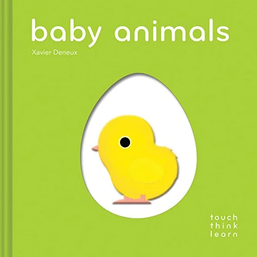 Baby Animals, anglická kniha - leporelo
