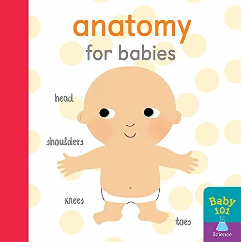 Anatomy for Babies, anglická kniha - leporelo