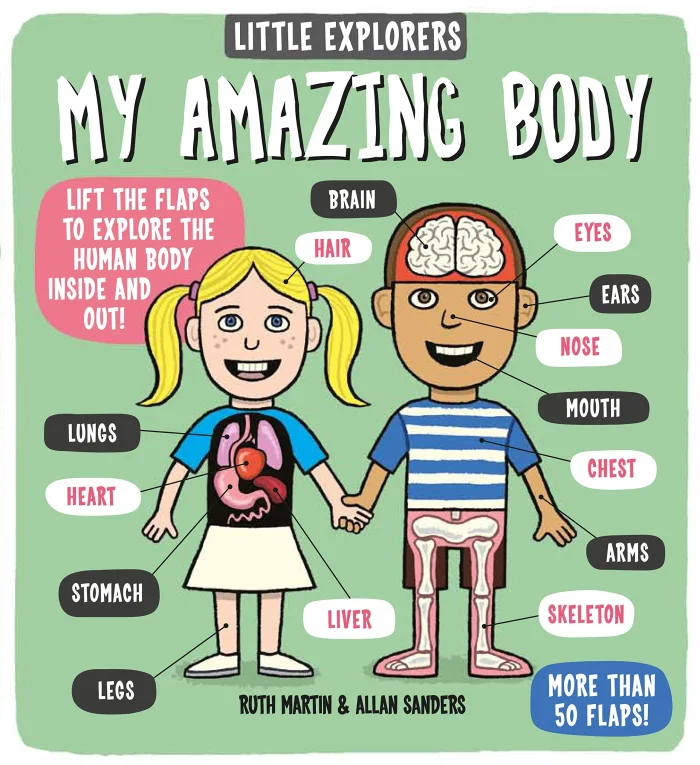 My Amazing Body, anglická kniha - leporelo