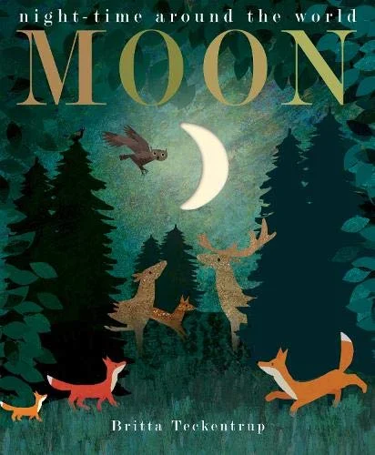 Moon, anglická kniha