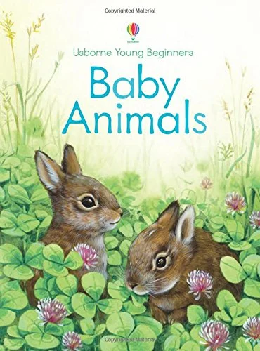 Baby Animals, anglická kniha