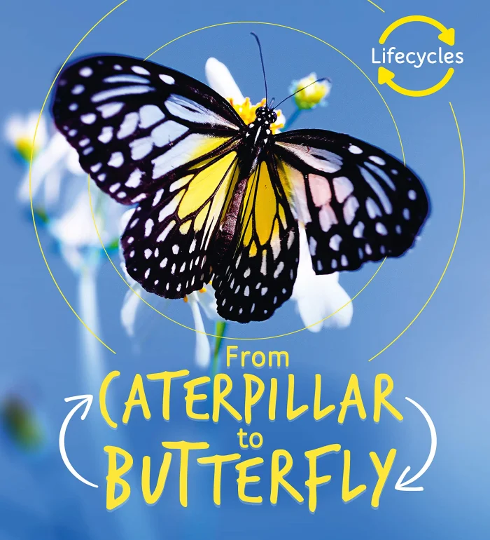 Caterpillar to Butterfly, anglická kniha