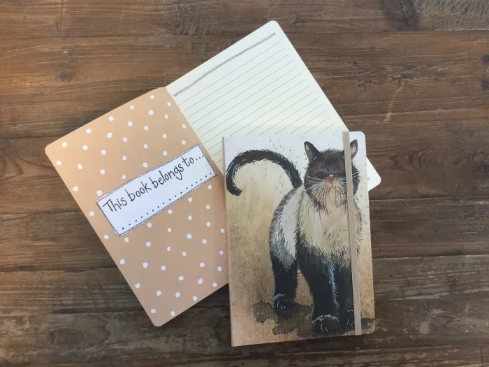 Coco The Cat Large Chunky Notebook A5 (LCN08), zápisník A5