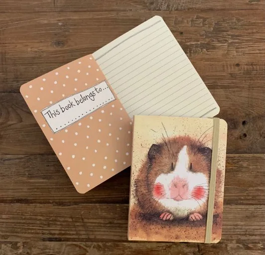 Gilbert Guinea Pig (SCN21), zápisník A6