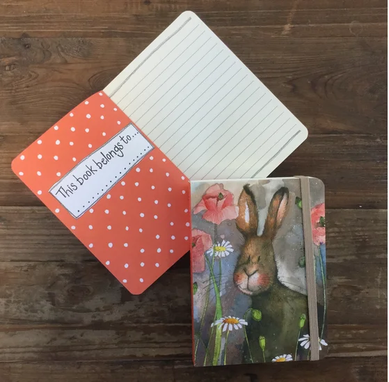 Hare (SCN08), zápisník A6