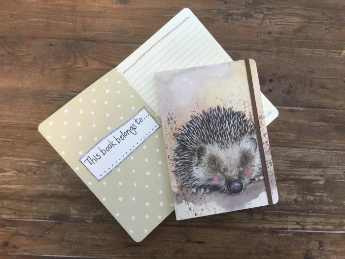 Harriet The Hedgehog Large Chunky Notebook A5 (LCN14), zápisník A5