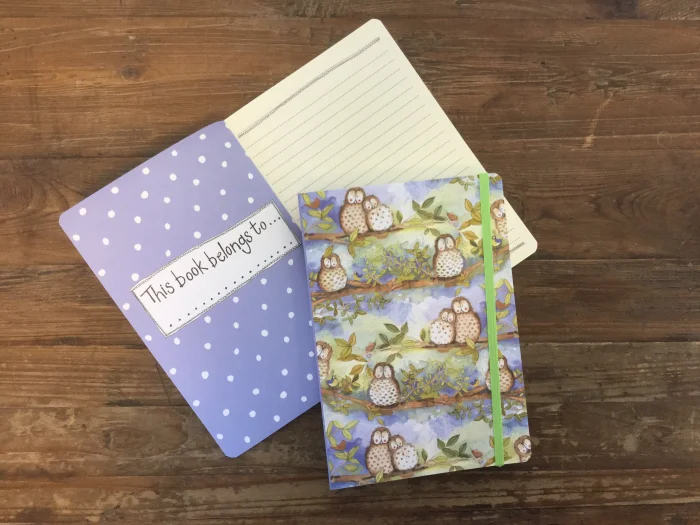 Owls Large Chunky Notebook A5 (LCN04), zápisník A5