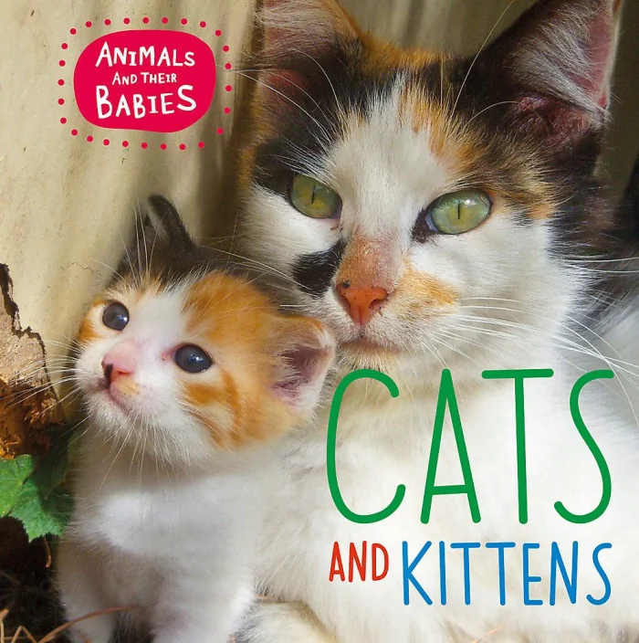Cats & kittens, anglická kniha
