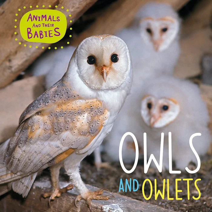 Owls & Owlets, anglická kniha