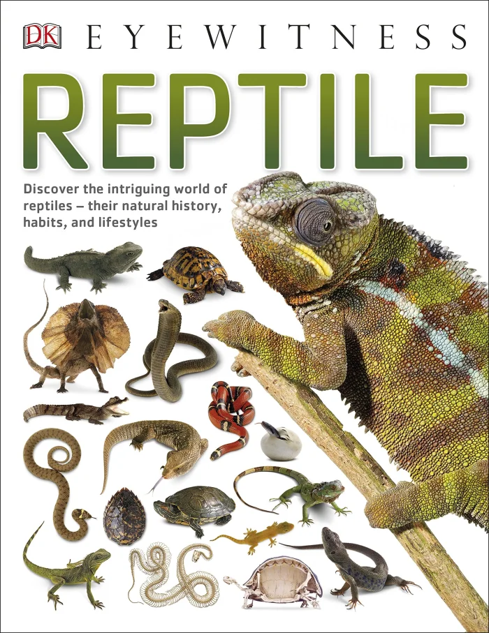 Reptile, anglická kniha