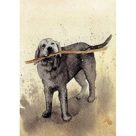 Dog with a Stick MY68, prianie