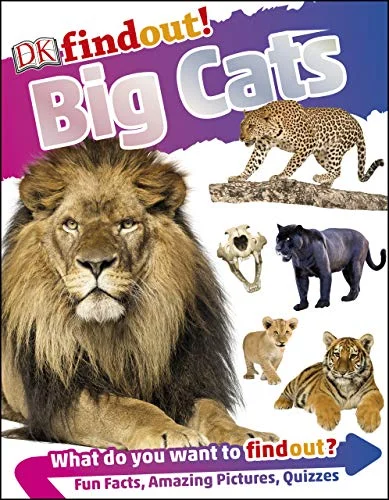 Big Cats, anglická kniha