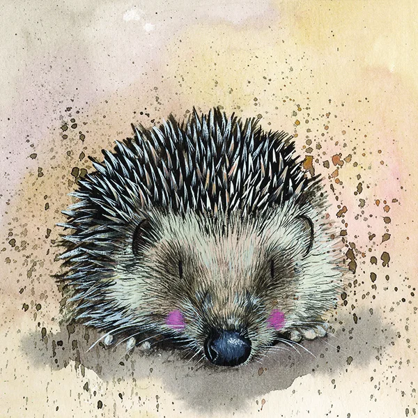 Harriet Hedgehog AC669, prianie