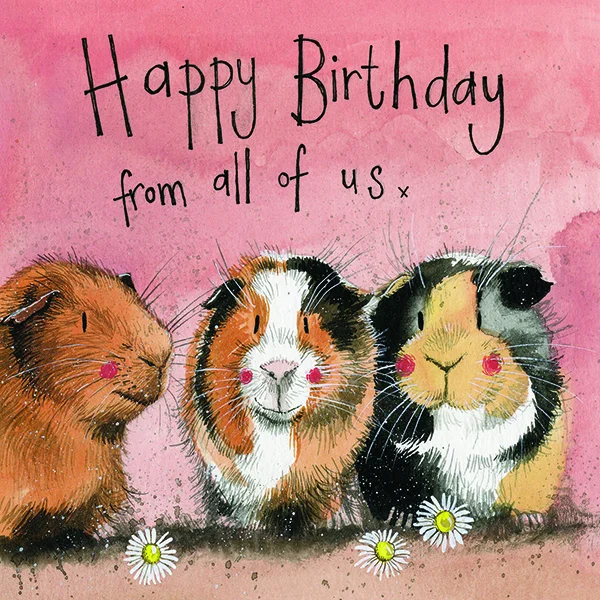 The Three Guinea Pig AC651, prianie