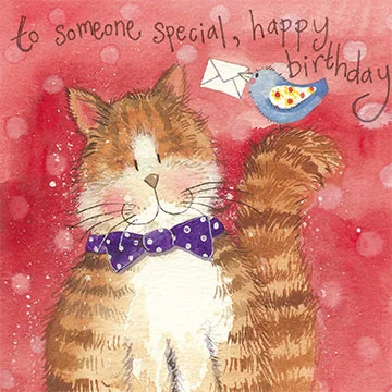 Bow Tie Cat AC549, prianie