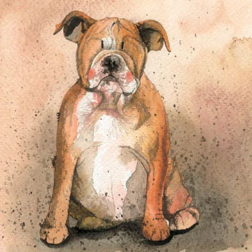 George AC496, prianie