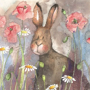 Hare & Poppies AC578, prianie