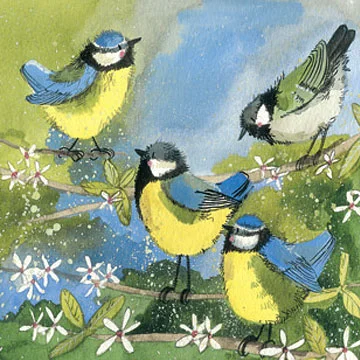 Great Tits Garden Bird AC596, prianie
