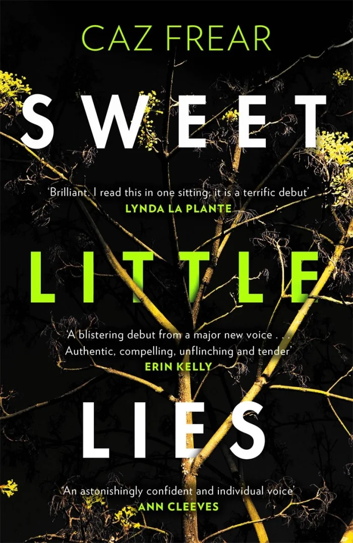 Sweet Little Lies (1), anglická kniha