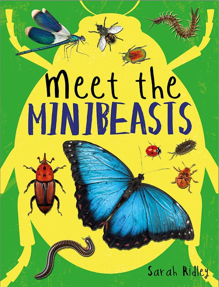 Meet the Minibeasts, anglická kniha