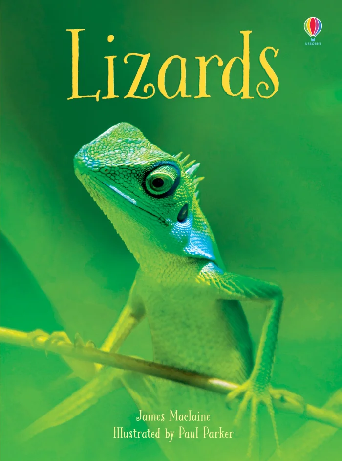 Lizards, anglická kniha
