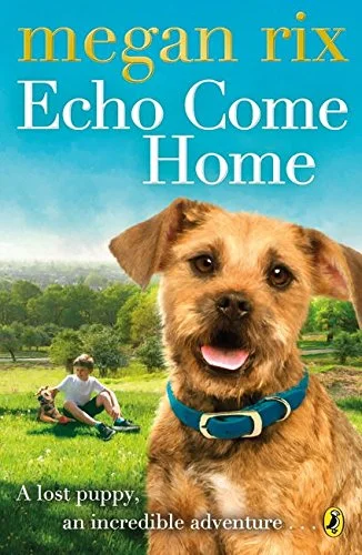 Echo Come Home, anglická kniha