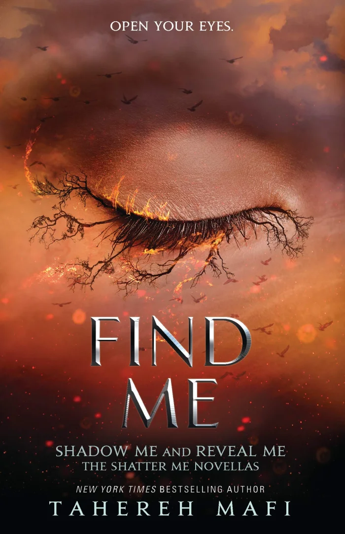 Find Me, anglická kniha