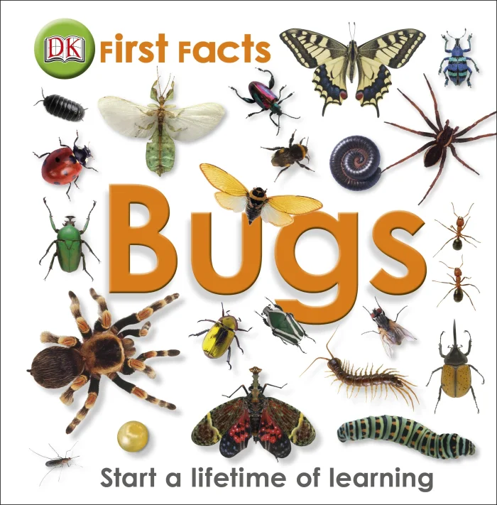 First Facts Bugs, anglická kniha - leporelo