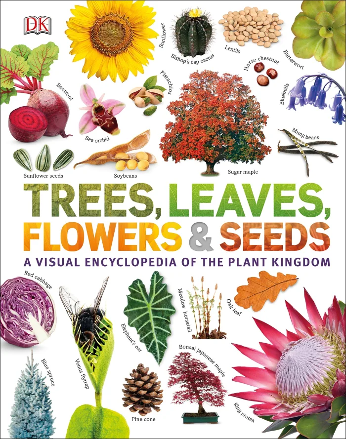 Trees, Leaves, Flowers & Seeds, anglická kniha