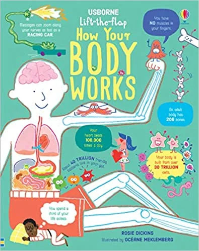 How Your Body Works, anglická kniha-leporelo