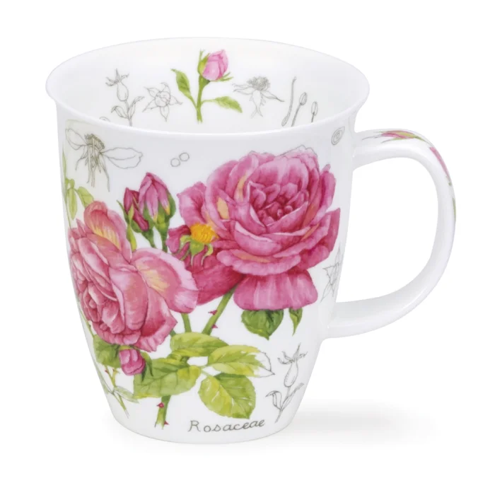 Floral Sketch Rose, porcelánový hrnček