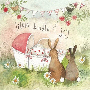 Bundle Of Joy Bunny New Baby AC563, prianie