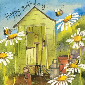 Garden Shed AC484, prianie